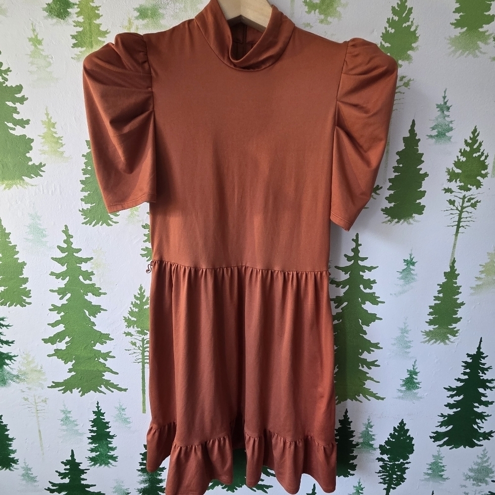 Leyden Terracotta Puff Sleeve Mini Dress